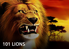 101 Lions T1