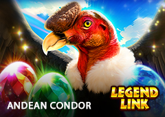 Andean Condor T2