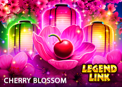 Cherry Blossom T2