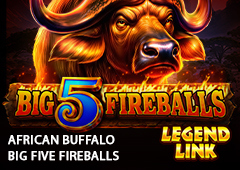African Buffalo Big 5 Fireballs T2